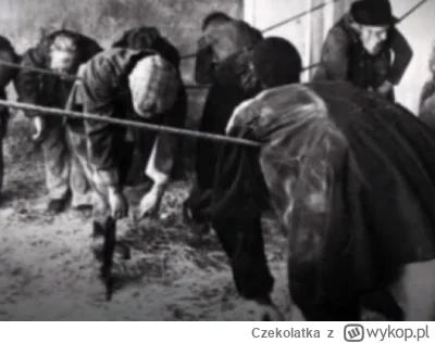 Czekolatka - @DonaldiuszTrumpowski: ja to bym nawet kapsuły pominął i zrobił sznury i...