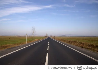 ErogowyDrogowy - >świetny pomysł, brak limitu prędkości na drogach poza obszarem zabu...