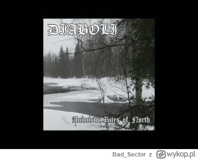 Bad_Sector - Sroga epka prosto z Finlandii #blackmetal 

Diaboli - Animistic Rites of...