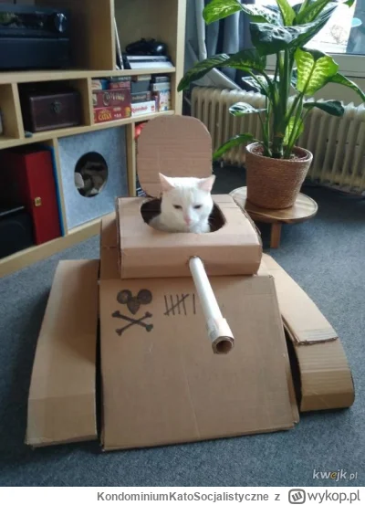 KondominiumKatoSocjalistyczne - >Ja chyba od 3 lata dodaję czołgi w nocy i dzisiaj ni...