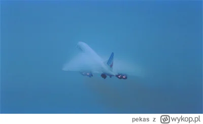 pekas - #grafika #samoloty #lotnictwo #google #internet #pomocy 

Jest ktoś w stanie ...
