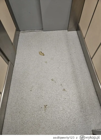 asdfqwerty123 - Czyje to psiecko? #psiarze #psiegryw #przegryw