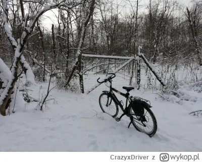 CrazyxDriver - @ZgnilaZielonka te oponki w takie warunki pozwalają mi jeździć  https:...