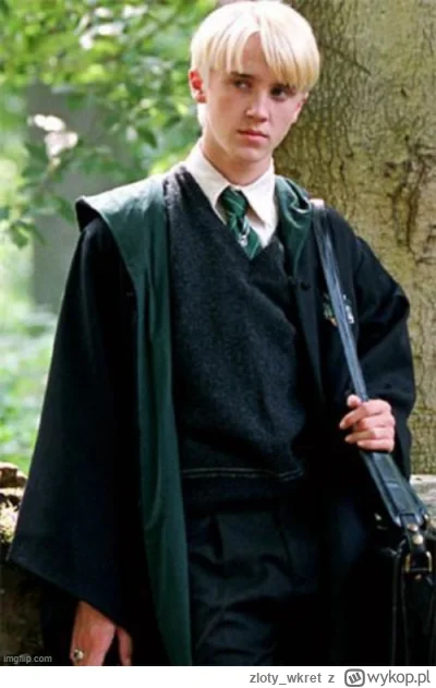 zloty_wkret - #harrypotter 
ale skrzywdzili tego bad boya tym polskim głosem, który m...