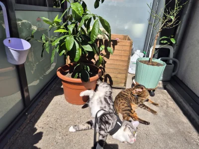 Lujdziarski - @Lujdziarski