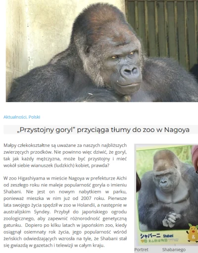 Bananek2 - Kto pamięta jak kobiety zachwycały się SEKSOWNYM GORYLEM w Zoo? #gorylpill...