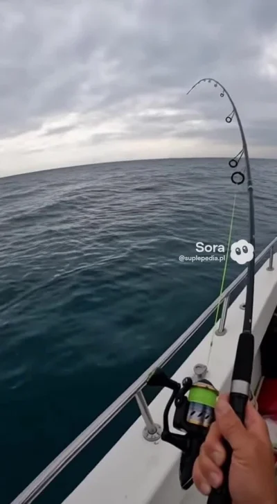 mandamin - dość rzułty? ( ͡º ͜ʖ͡º)

#heheszki #2137 #wykopobrazapapieza #cenzopapa