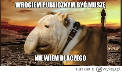 suzaku0 - #konkursnanajbardziejgownianymemznosaczem