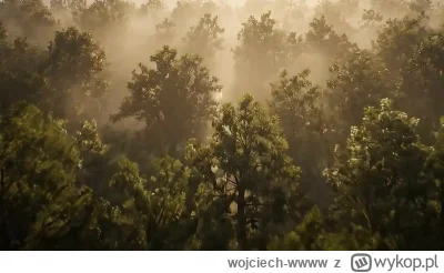 wojciech-wwww - #wislakrakow patrzcie na prezentację Zwolińskiego w nowym klubie XD