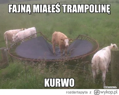 rozdartapyta - Trampolina teraz( ͡°( ͡° ͜ʖ( ͡° ͜ʖ ͡°)ʖ ͡°) ͡°)
#paryz2024