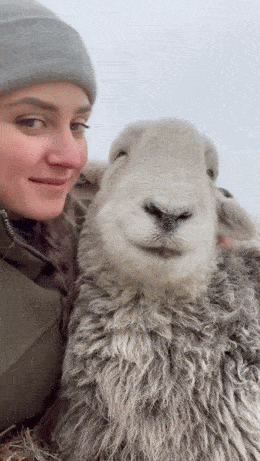 wfyokyga - Owcapill#