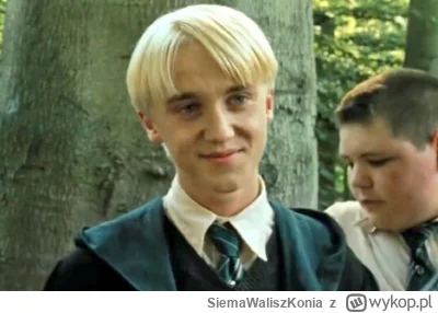 SiemaWaliszKonia - Mykhaylo Mudryk against Arsenal | The Leader of the Slytherins | T...