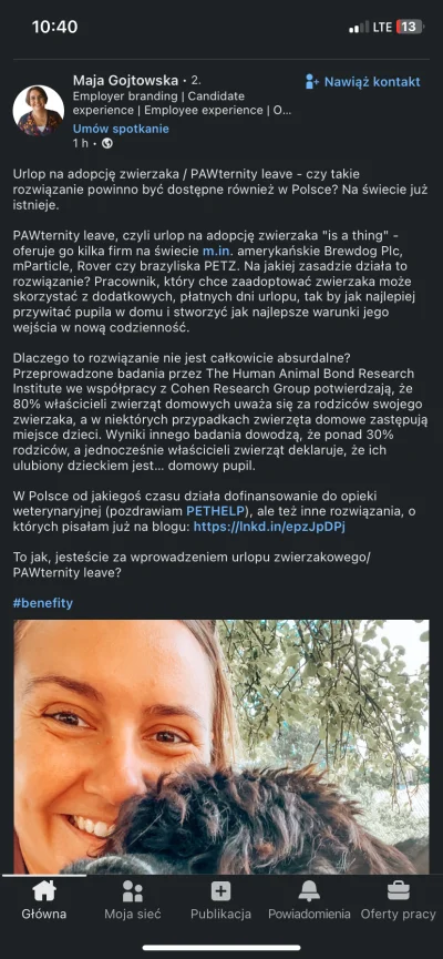 elozapiekanka - Kiedy wy macie uczycie się gowirn do nowej pracy 
Kombinujecie jak do...