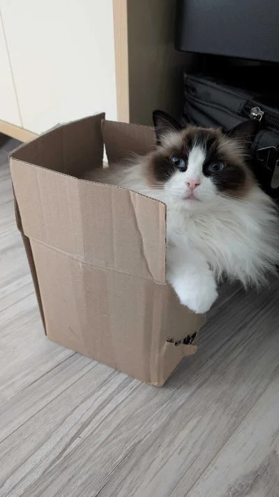 6poziomprokrastynacji - Nie powiem, warunki mieszkaniowe nie są najlepsze, ale jestem...