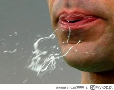 pomarancza3000 - @bArrek