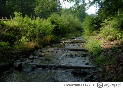 lukaszlukaszkk - Działaj z małą retencją lokalnie i od razu. Widzisz rów melioracyjny...