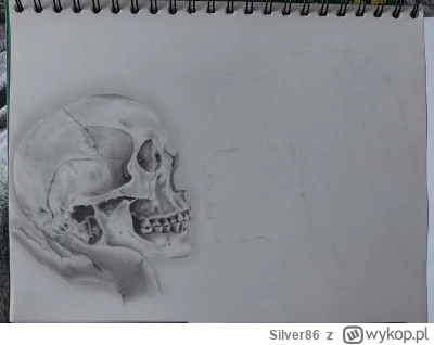 Silver86 - Tu czacha w dziennym, @monky narysowałam ;p