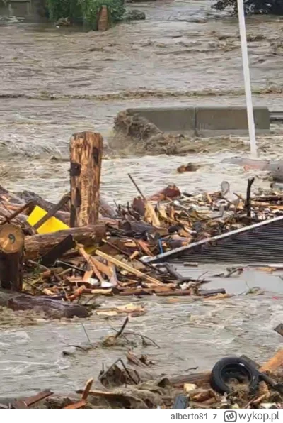 alberto81 - @czarodziejkazksiezyca: Już go porwało jak próbował wejść na murek