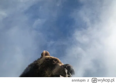 annlupin - a tak wgl jak wam piontek minął