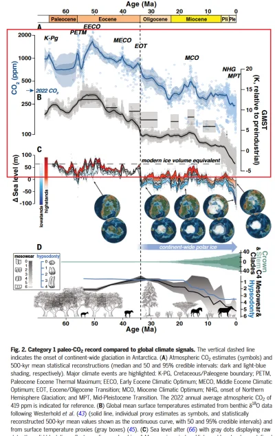 SamozwanczyTurysta - @DanteTooMayCry: 
 Dobrze, wiesz, że chodzi o Waszą narrację, że...
