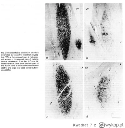 Kwadrat7 - @ChrobryLubiBobry: https://www.researchgate.net/publication/15722390Asexdi...