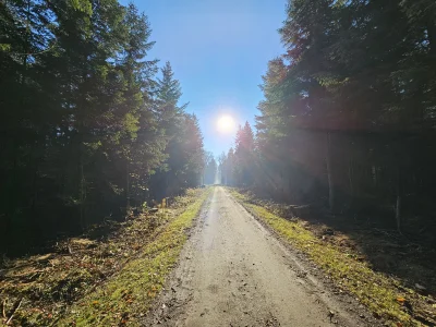 Predator569 - Ostatni dzień słonecznej pogody wykorzystany maksymalnie. Niestety w na...