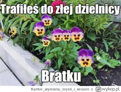 Kantorwymianymysliiwrazen - @KosmicznyPaczek: ( ͡° ͜ʖ ͡°)