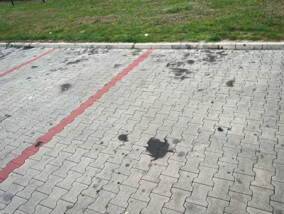 CrazyZdzich - >polskie autka wcale nie odstają od niemieckich
w Polsce są chyba nawet...