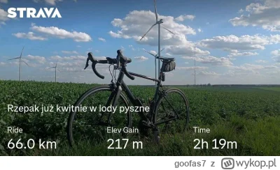 goofas7 - 73 954 + 66 + 66 = 74 086

Dzisiaj to już lato i uwaga piętrze zdjęcie w #r...