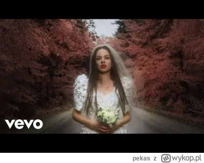 pekas - #muzyka #pop #muzykaalternatywna #polskamuzyka
Kasia Lins - Moja wina