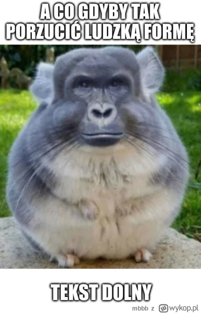 mbbb - #konkursnanajbardziejgownianymemznosaczem