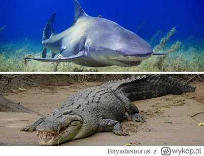 Bayadasaurus - #animals