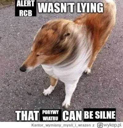 Kantorwymianymysliiwrazen - @mucha9o: @voov100 ¯\(ツ)/¯