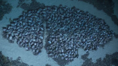 IMPERIUMROMANUM - Mierzący 35 metrów długości wrak rzymskiego statku

Mierzący 35 met...