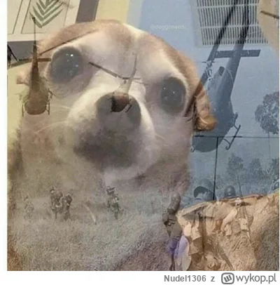 Nudel1306 - @whiskas: