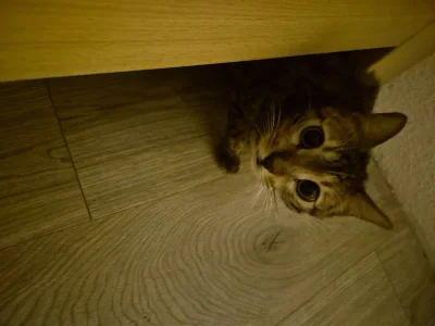 Lujdziarski - @Kantorwymianymysliiwrazen No Haro, on wstał. Od rana gnili w becie, Be...