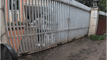 TeresaKorolInvestments - Ależ akcja u Balerona Dagoudy. 
#raportzpanstwasrodka