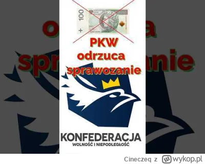 Cineczeq - Jakby ktoś jeszcze chciał się dowiedzieć za co Konfederacja dokładnie stra...