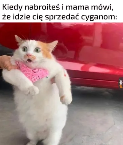 120DniSodomy - #heheszki #humorobrazkowy #memy