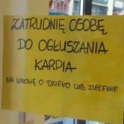 hibiskusmiumieraa - Warto wysłać sybi? 

#gownowpis