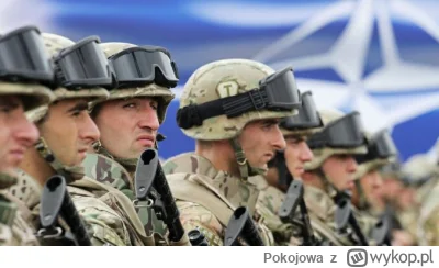Pokojowa - Francja tworzy sojusz krajów gotowych wysłać zachodnich żołnierzy na Ukrai...