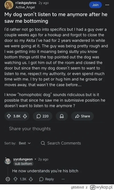 g8b8m8 - Na głównej historia o rasie Akita 
#psy #psiarze #akita #heheszki #homoseksu...