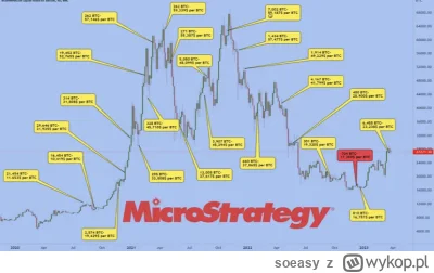 soeasy - @WolvvloW: tymczasem grubas z microstrategy: