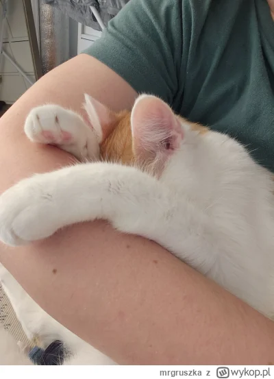 mrgruszka - @szzzzzz dobranoc