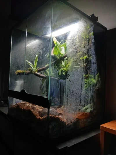 PanNemo - @daktyle możliwe, tutaj masz z innej perspektywy. A co do chłodzenia to uży...