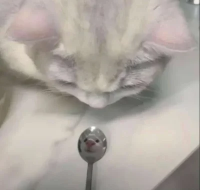 dywergent - swiat nie jest sprawiedliwy ale ja jestem