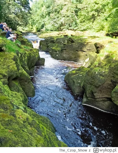 TheCzopShow - Przepłynąłbyś wszerz taki strumyk za dwie stówki?
