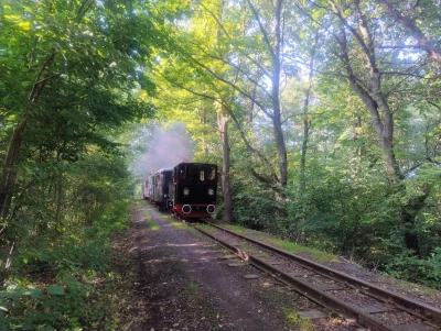 sylwke3100 - Chuopski spierdotrip pieszy i spotkany pociąg wąskotorowy z parowozem ja...