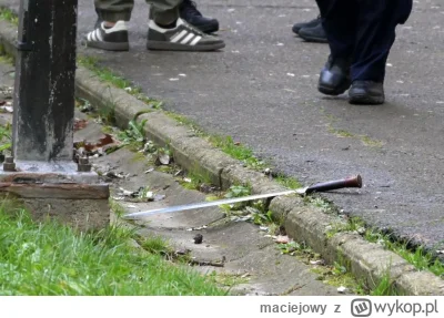 maciejowy - @Xagog: strażakowi obciął palca