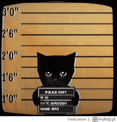 TreeLemon - PDW Wrocek